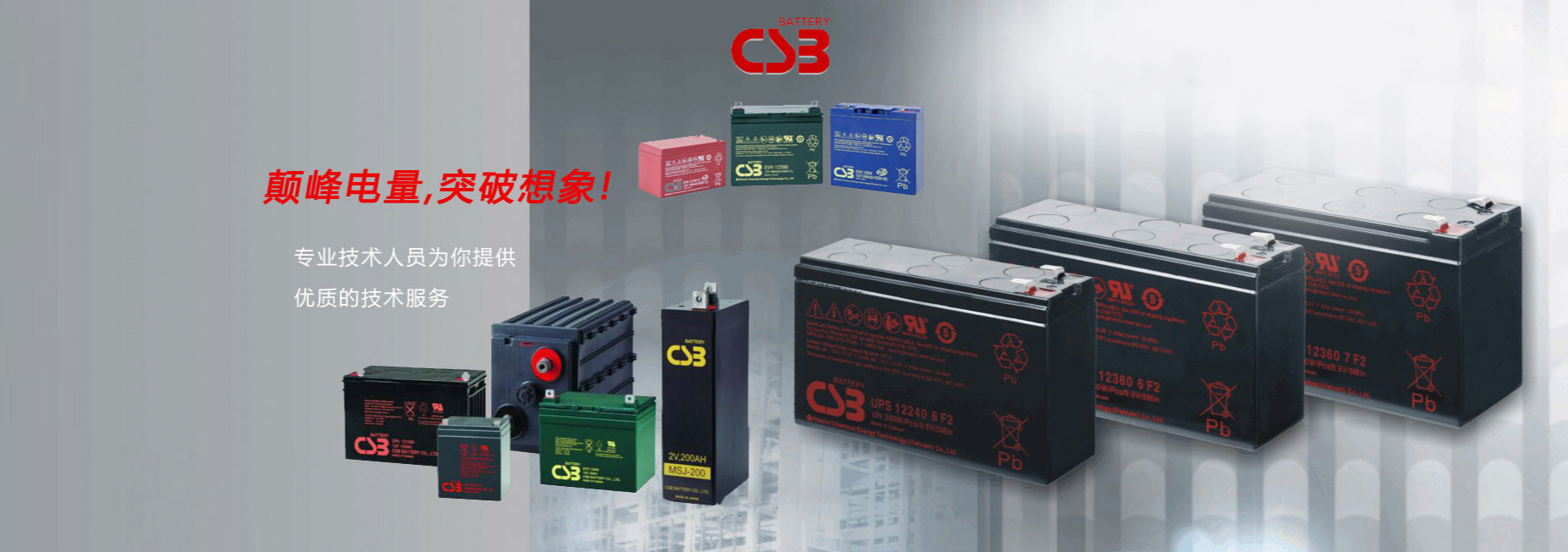 山東雷思盾電子設備有限公司